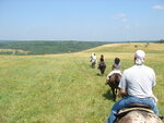 pic_09782.jpg