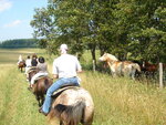 pic_09786.jpg