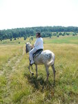 pic_09787.jpg