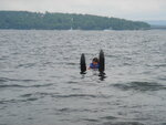 pic_09848.jpg