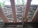 pic_09856.jpg