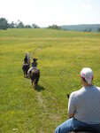 pic_09892.jpg