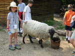 pic_02466.jpg