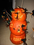 pic_02595.jpg