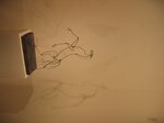 pic_02607.jpg