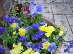 pic_02655.jpg