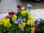 pic_02664.jpg