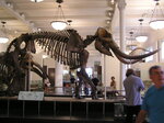 pic_02683.jpg