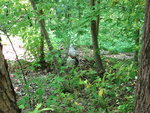 pic_02736.jpg