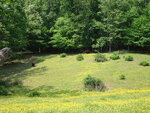 pic_02757.jpg
