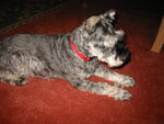 pic_02779.jpg