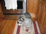 pic_02781.jpg