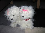 pic_02784.jpg
