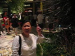 mov_vegas.mov