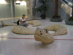 pic_02877.jpg
