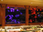 pic_02879.jpg