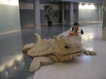 pic_02897.jpg