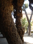 pic_09982.jpg