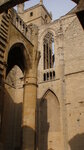 pic_10250.jpg