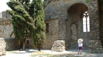 pic_10254.jpg