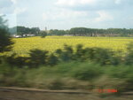pic_10274.jpg