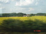 pic_10286.jpg