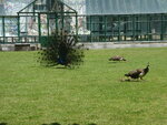 pic_10378.jpg