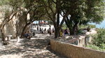 pic_10394.jpg