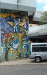pic_10406.jpg