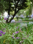 pic_10425.jpg