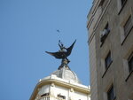 pic_10506.jpg