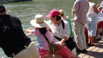 pic_10564.jpg