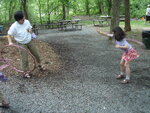 pic_02910.jpg