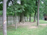 2006