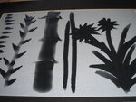 pic_03053.jpg