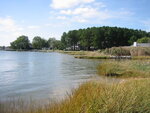 pic_03198.jpg