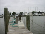 pic_03203.jpg