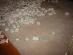 pic_03235.jpg