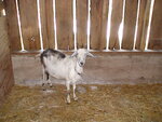 pic_03457.jpg
