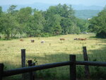 pic_03460.jpg