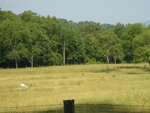 pic_03461.jpg
