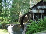 pic_03468.jpg