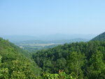 pic_03490.jpg