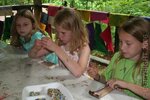 pic_03505.jpg
