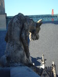 pic_03523.jpg