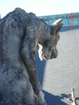 pic_03543.jpg