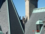 pic_03546.jpg