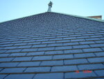 pic_03576.jpg