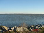 pic_03600.jpg