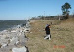 pic_03617.jpg